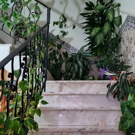 Pensionat Santa Isabel 3*